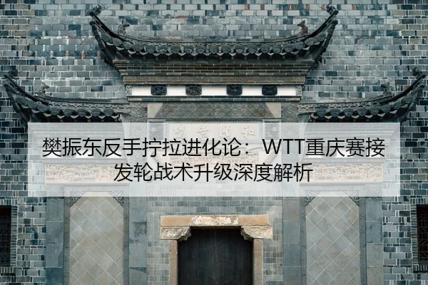 fan-zhen-dong-fan-shou-ning-la-jin-hua-lun-chong-qing-sai-jie-fa-lun-zhan-shu-sheng-ji-shen-du-jie-xi-2-754.jpg